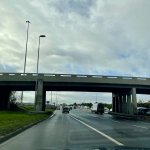 IMG_5316.jpeg