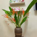 IMG_0948.jpeg