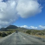 IMG_5401.jpeg