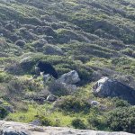 IMG_5403.jpeg
