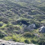IMG_5405.jpeg