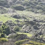 IMG_5408.jpeg