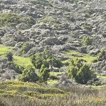 IMG_5409.jpeg
