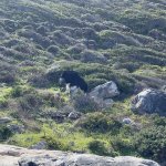 IMG_5404.jpeg