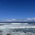 IMG_5461.jpeg