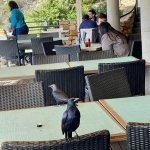 IMG_5509.jpeg