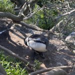 IMG_5534.jpeg
