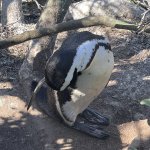 IMG_5536.jpeg