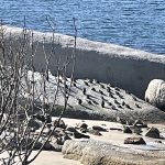 IMG_5544.jpeg
