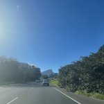 IMG_5578.jpeg