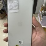 IMG_3682.jpeg