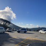 IMG_5589.jpeg