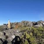 IMG_5601.jpeg