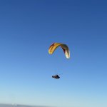 IMG_5614.jpeg