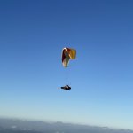 IMG_5613.jpeg