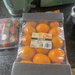 IMG_5620.jpeg