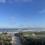 IMG_5648.jpeg