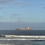 IMG_5649.jpeg