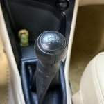 IMG_9518.jpeg