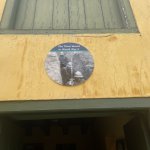 IMG_5725.jpeg