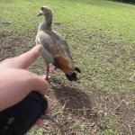 IMG_5761.jpeg