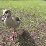 IMG_5760.jpeg