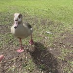 IMG_5759.jpeg