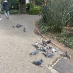 IMG_5764.jpeg