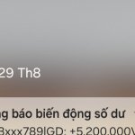 22934.jpg