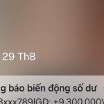 22953.jpg