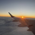 IMG_5881.jpeg