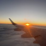 IMG_5884.jpeg