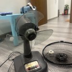IMG_5107.jpeg