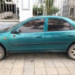 IMG_9608.jpeg