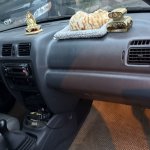 IMG_9632.jpeg