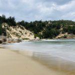 IMG_3399.jpeg
