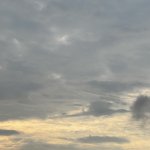 IMG_3668.jpeg