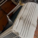 IMG_9709.jpeg