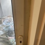IMG_3262.jpeg