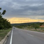 IMG_3544.jpeg