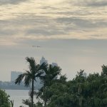 IMG_4126.jpeg
