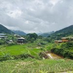 IMG_4307.jpeg