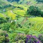 IMG_4391.jpeg