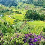 IMG_4393.jpeg