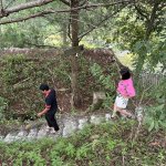 IMG_4398.jpeg