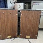 IMG_0702.jpeg