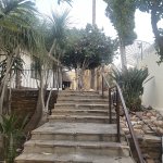 IMG_5896.jpeg