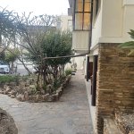 IMG_5897.jpeg