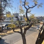 IMG_5909.jpeg