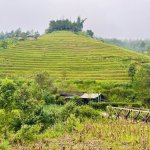 IMG_4539.jpeg